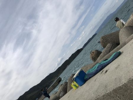 エギングのつもりが…