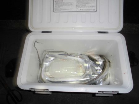 タッチ―１２本　