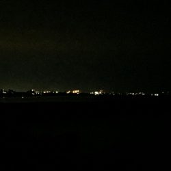 今日もタッチー釣れました。