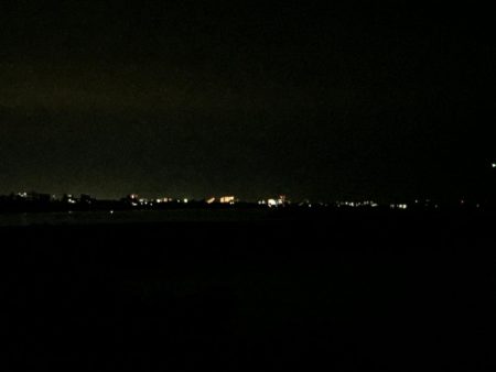 今日もタッチー釣れました。