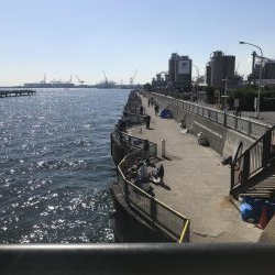 渋かったです。