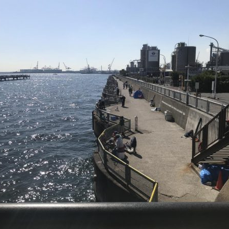 渋かったです。