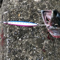 最近よくジグをなくす…