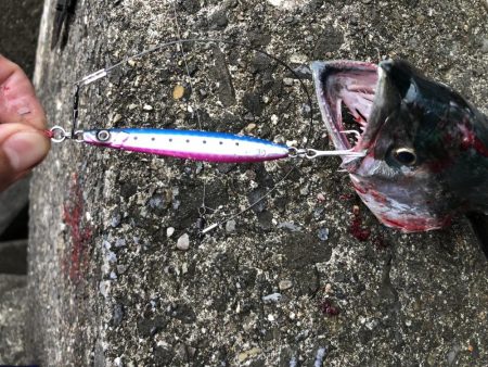 最近よくジグをなくす…