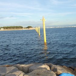 色々掛かって楽しい1日