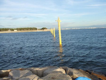 色々掛かって楽しい1日