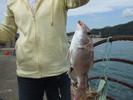 根魚五目にアジ 楽しい