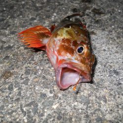 週末になれば台風