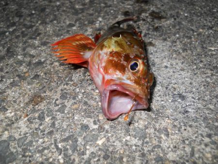 週末になれば台風