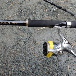 久々のフラット