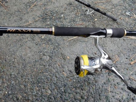 久々のフラット