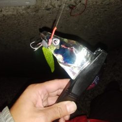 アジング5&ショアジギング8