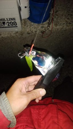 アジング5&ショアジギング8