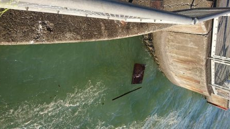 青物狙いつつ、タチウオ釣りたい