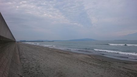 タチウオ、シーバス