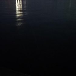 小雨降る中気合いのシーバス調査！