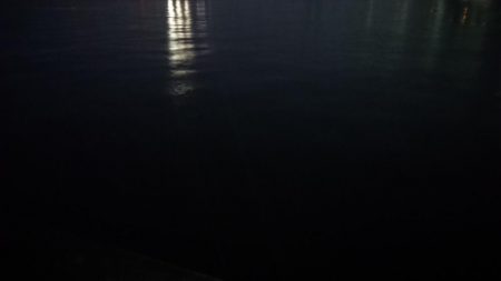 小雨降る中気合いのシーバス調査！