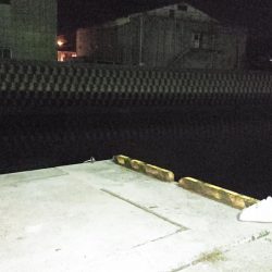 夜のアジ釣り 安芸津周辺