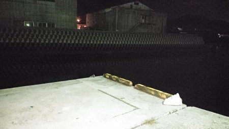 夜のアジ釣り 安芸津周辺