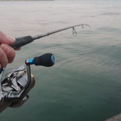 台風後のシーバス調査