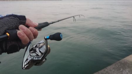 台風後のシーバス調査