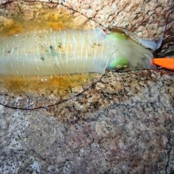 仕事帰りエギング