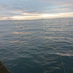 自分だけシーバス狙い！