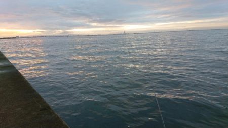 自分だけシーバス狙い！