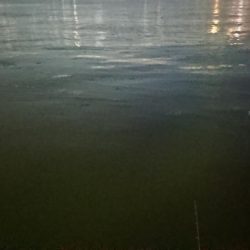 スイミングシンペンでしてやったり！