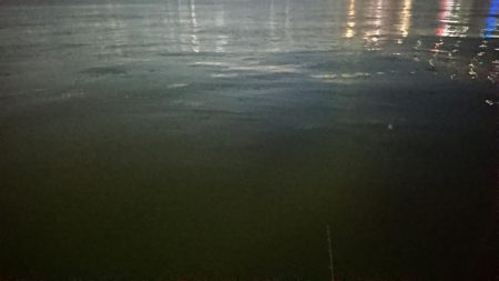 スイミングシンペンでしてやったり！