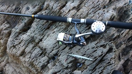 ヒラマサが釣れない。