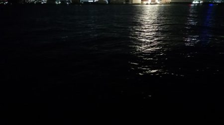 夕練シーバス一時間調査！