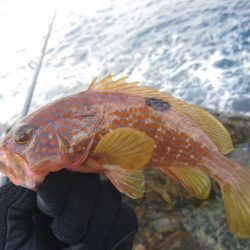 オフショアジギング