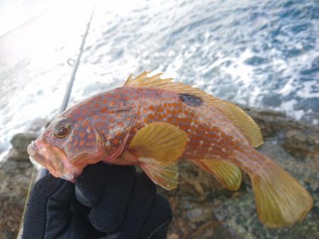 オフショアジギング