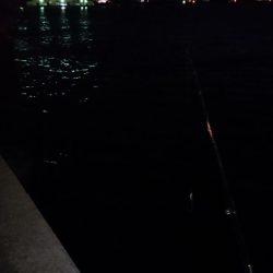 デカシーバス無念のラインブレイク…