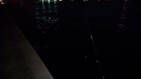 デカシーバス無念のラインブレイク…