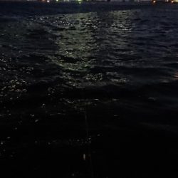 夕練北風強かった~