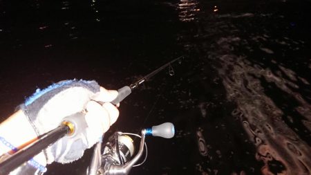 夕練シーバス調査に行くも…