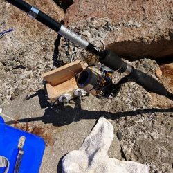 秋の落ちギス～