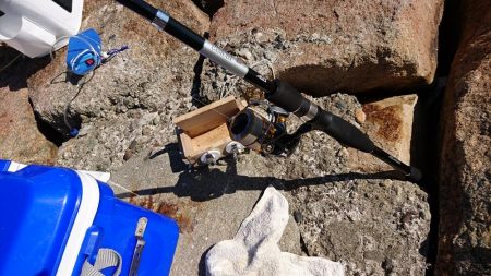 秋の落ちギス～