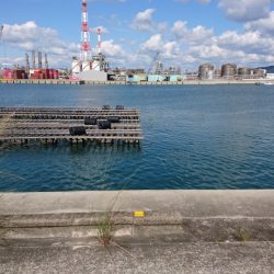 終わりのキス・・・そしてハゼ