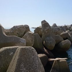 久々の穴釣り