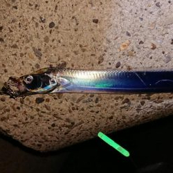 淡路島イイねぇ~