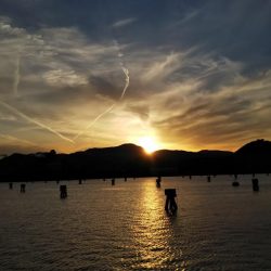 食いが渋かった