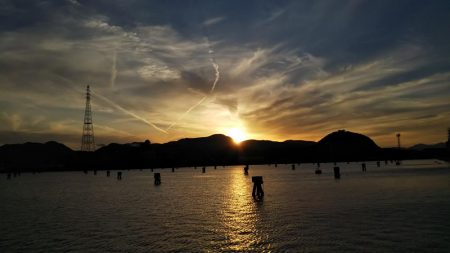 食いが渋かった