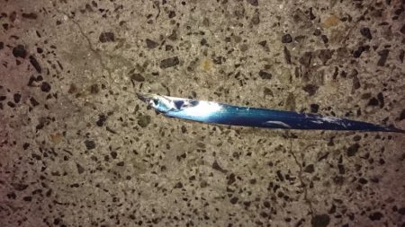 台風後の泉大津エリア遠征