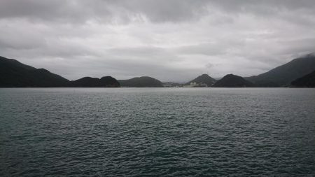 サゴシきてますね〜(エソも)