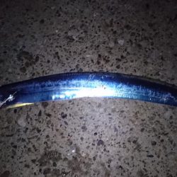 タチウオやっぱり渋かった