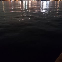 タチウオ釣果 不調続き・・・