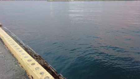 南港タチウオ激渋